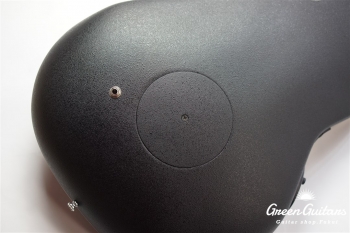 CE48P-TGE - Tiger Eye